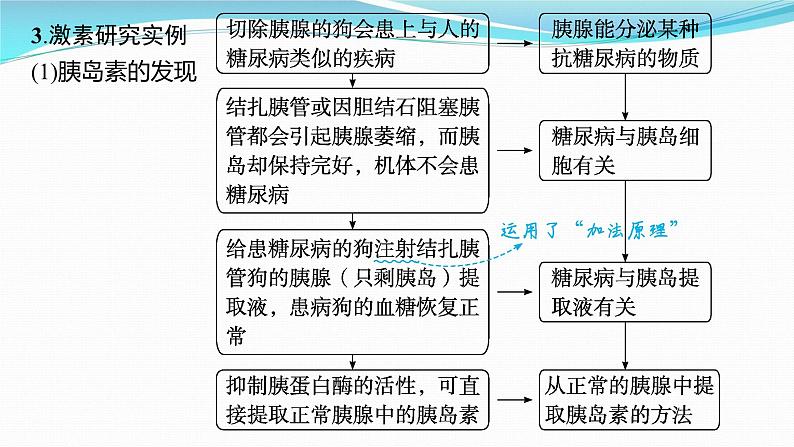 新高考生物一轮复习课件：第25讲　体液调节（含解析）第7页