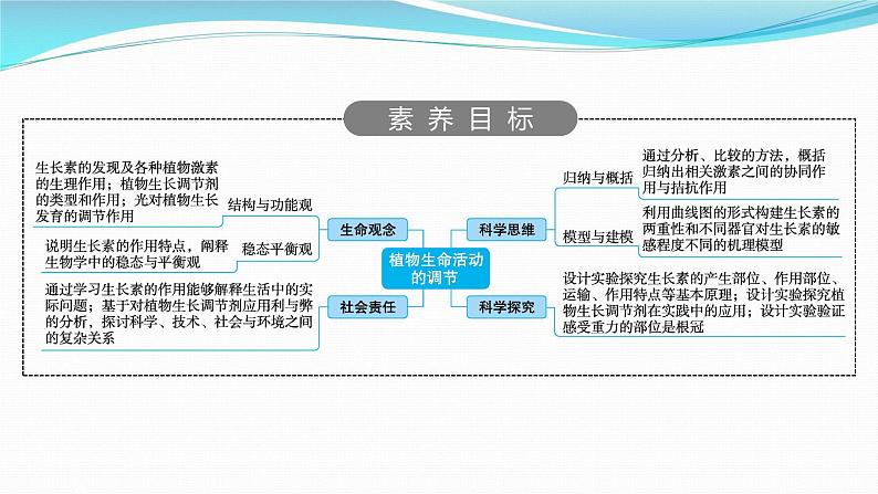 新高考生物一轮复习课件：第27讲　植物生命活动的调节（含解析）02