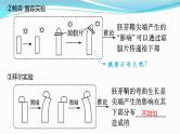 新高考生物一轮复习课件：第27讲　植物生命活动的调节（含解析）