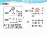 新高考生物一轮复习课件：第27讲　植物生命活动的调节（含解析）