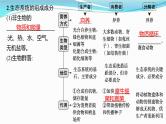 新高考生物一轮复习课件：第30讲　生态系统的结构、能量流动（含解析）