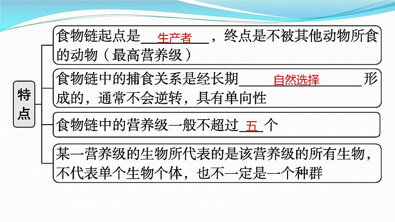 新高考生物一轮复习课件：第30讲　生态系统的结构、能量流动（含解析）07