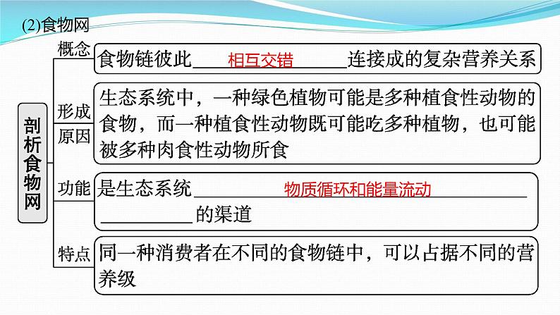 新高考生物一轮复习课件：第30讲　生态系统的结构、能量流动（含解析）08