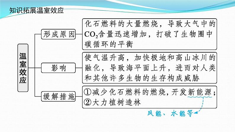 新高考生物一轮复习课件：第31讲　生态系统的物质循环、信息传递及其稳定性（含解析）第6页