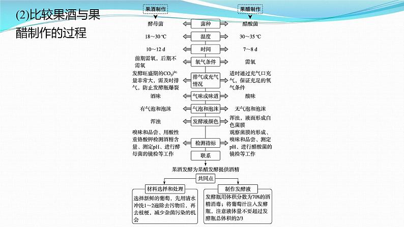 新高考生物一轮复习课件：第33讲　发酵工程（含解析）第8页