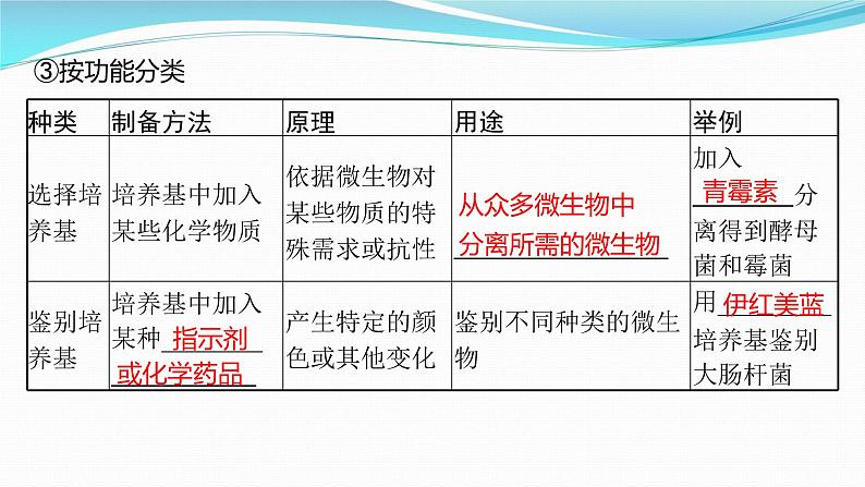 新高考生物一轮复习课件：第34讲　微生物的培养技术及应用（含解析）05