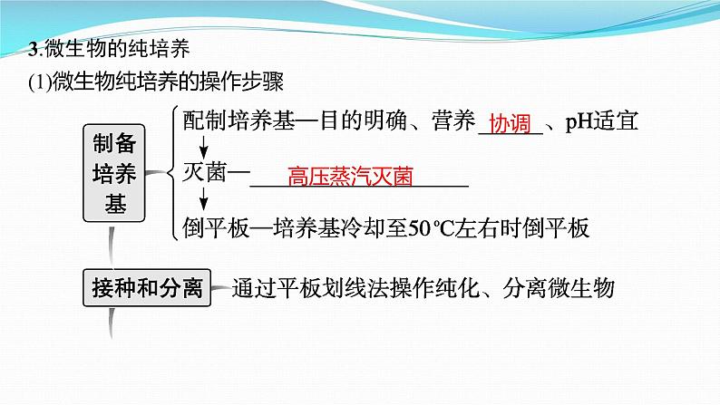 新高考生物一轮复习课件：第34讲　微生物的培养技术及应用（含解析）08