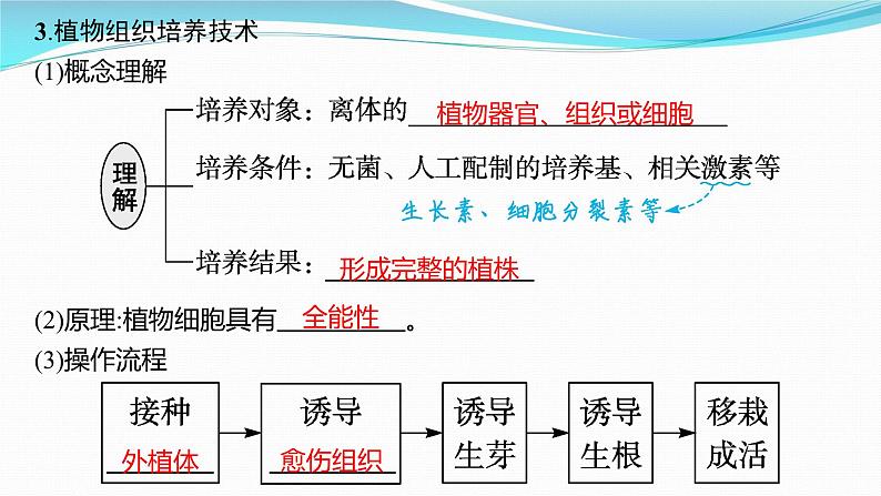 新高考生物一轮复习课件：第35讲　细胞工程（含解析）07