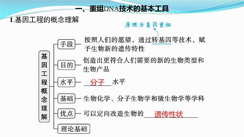 新高考生物一轮复习课件：第37讲　基因工程的基本工具与操作程序（含解析）第3页