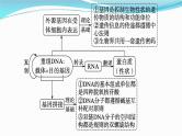 新高考生物一轮复习课件：第37讲　基因工程的基本工具与操作程序（含解析）