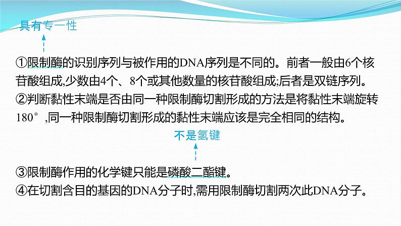 新高考生物一轮复习课件：第37讲　基因工程的基本工具与操作程序（含解析）第6页