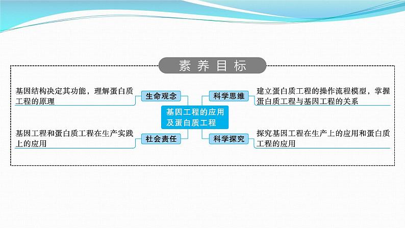 新高考生物一轮复习课件：第38讲　基因工程的应用及蛋白质工程（含解析）02