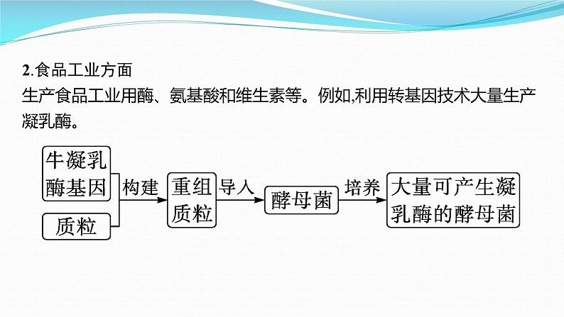 新高考生物一轮复习课件：第38讲　基因工程的应用及蛋白质工程（含解析）04