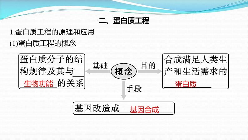 新高考生物一轮复习课件：第38讲　基因工程的应用及蛋白质工程（含解析）08