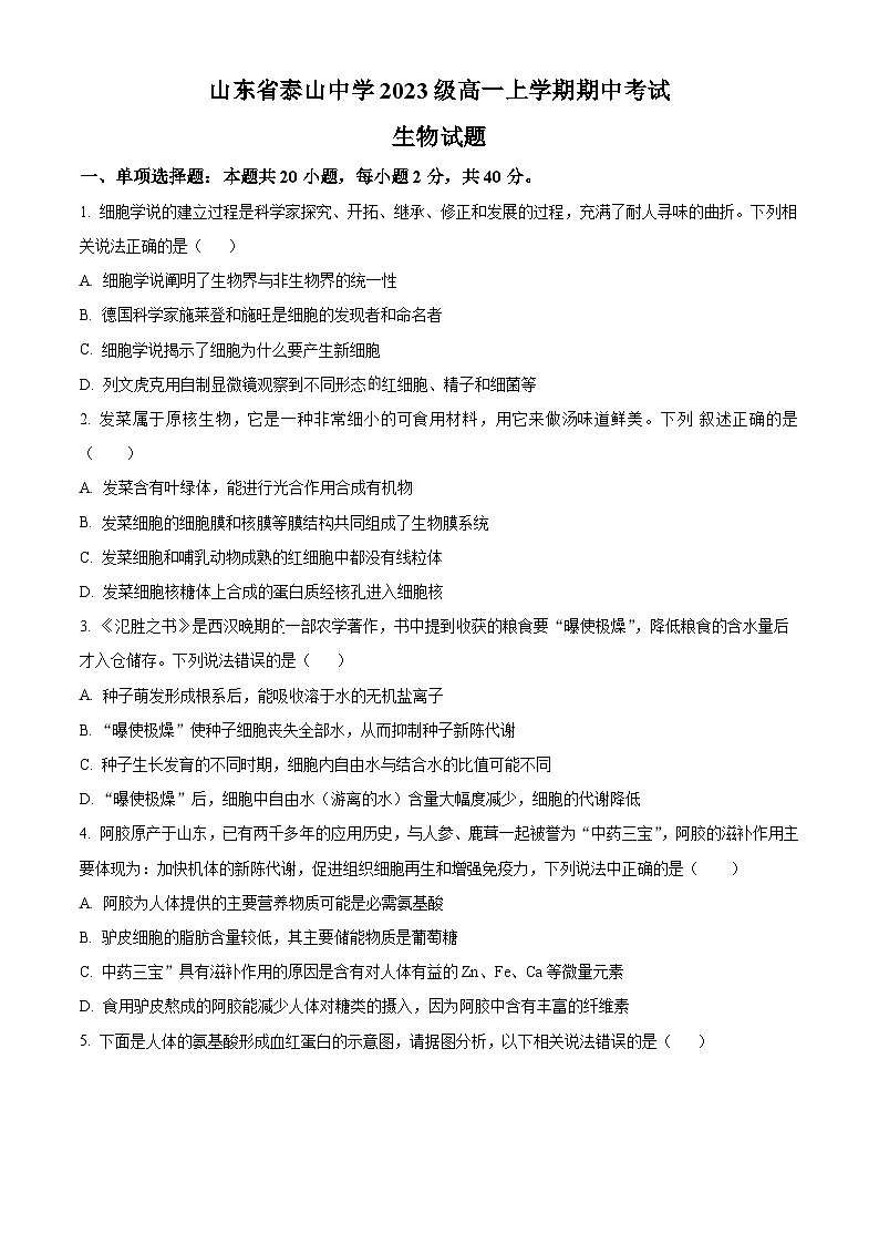 山东省泰安市泰山中学2023-2024学年高一上学期11月期中考试生物试题第1页