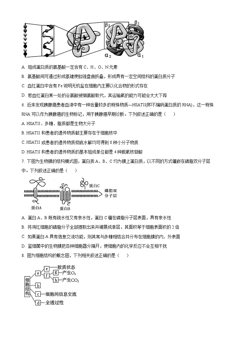山东省泰安市泰山中学2023-2024学年高一上学期11月期中考试生物试题第2页