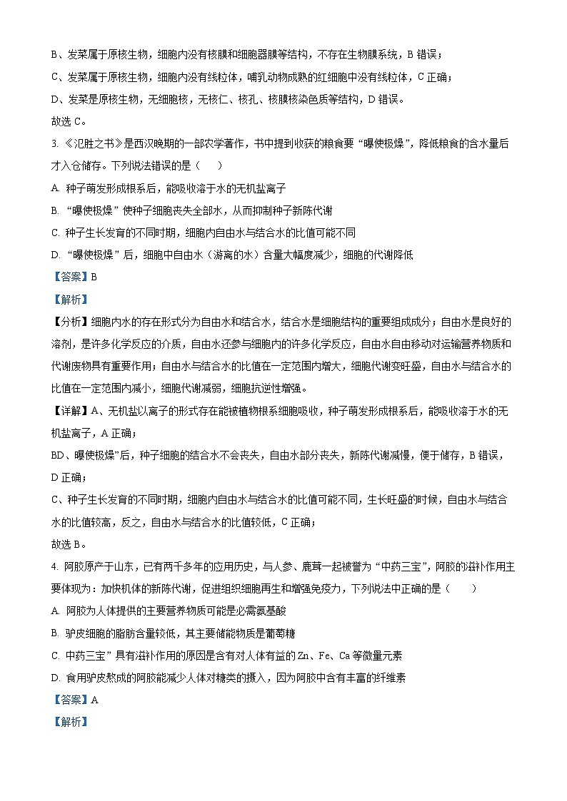 山东省泰安市泰山中学2023-2024学年高一上学期11月期中考试生物试题word版含解析第2页