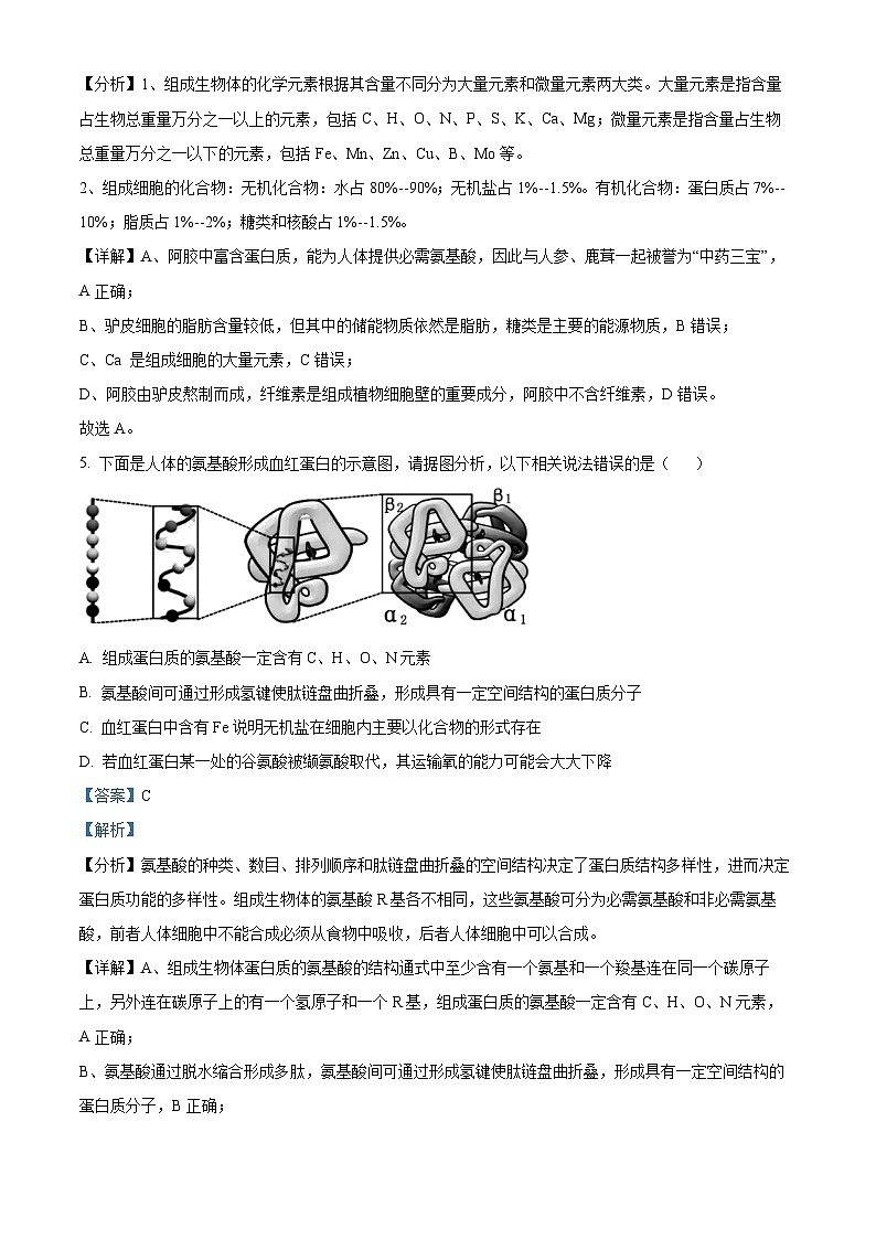 山东省泰安市泰山中学2023-2024学年高一上学期11月期中考试生物试题word版含解析第3页