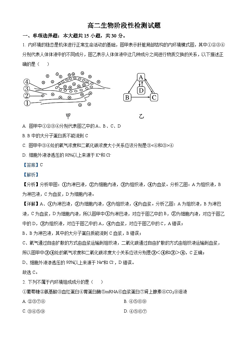 山东省临沂第四中学2024-2025学年高二上学期10月月考生物试题word版含解析第1页
