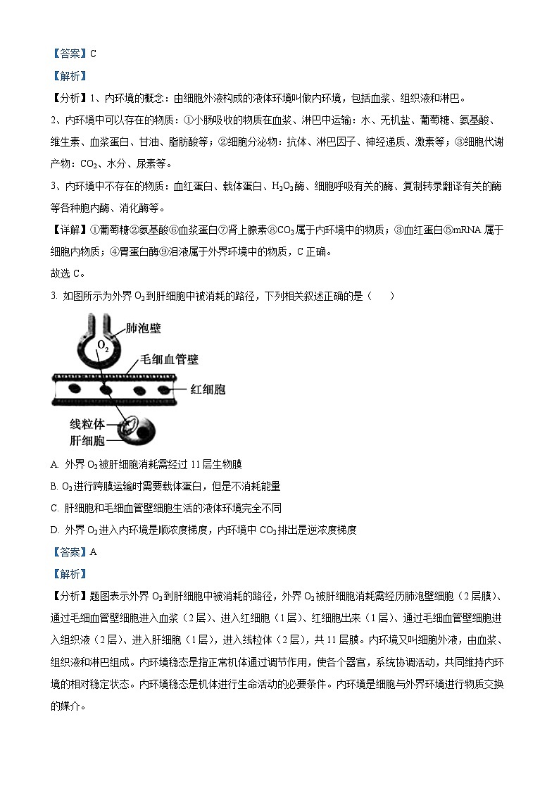 山东省临沂第四中学2024-2025学年高二上学期10月月考生物试题word版含解析第2页