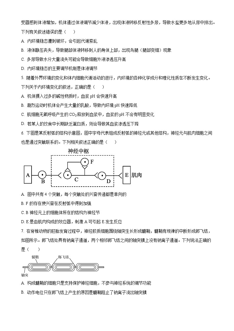 山东省临沂第四中学2024-2025学年高二上学期10月月考生物试题第2页