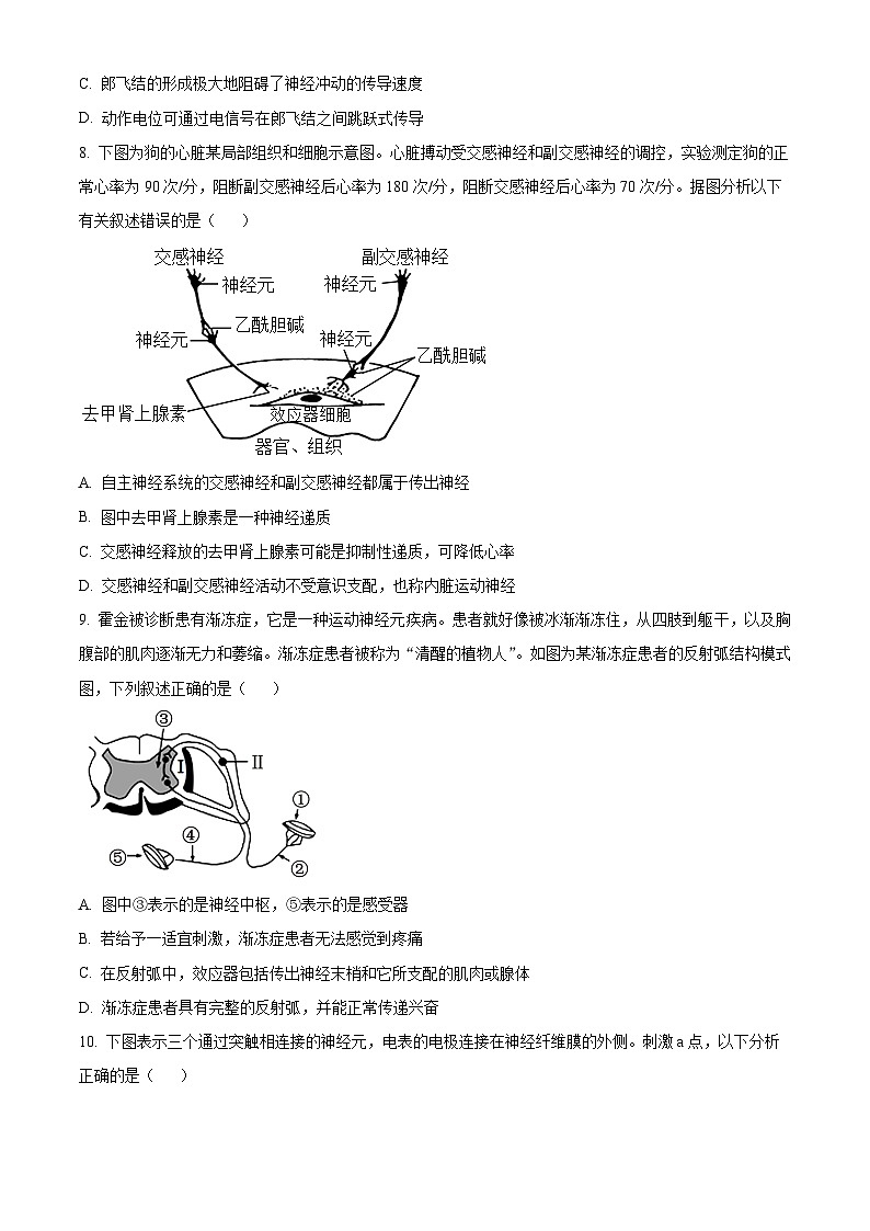 山东省临沂第四中学2024-2025学年高二上学期10月月考生物试题第3页