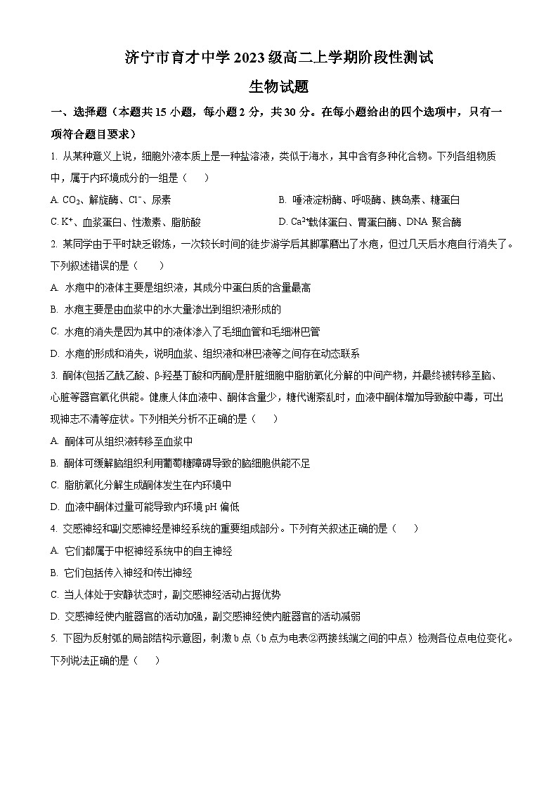 山东省济宁市育才中学2024-2025学年高二上学期10月阶段性测试生物试题第1页