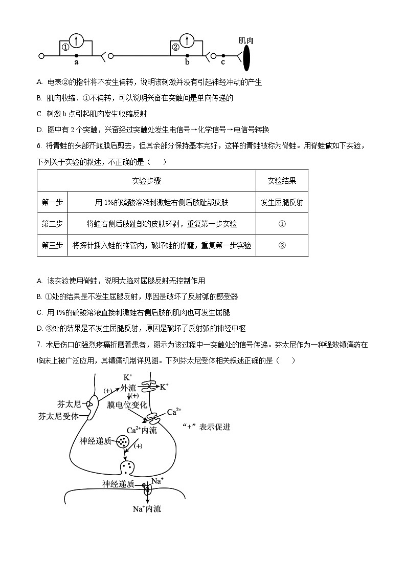 山东省济宁市育才中学2024-2025学年高二上学期10月阶段性测试生物试题第2页