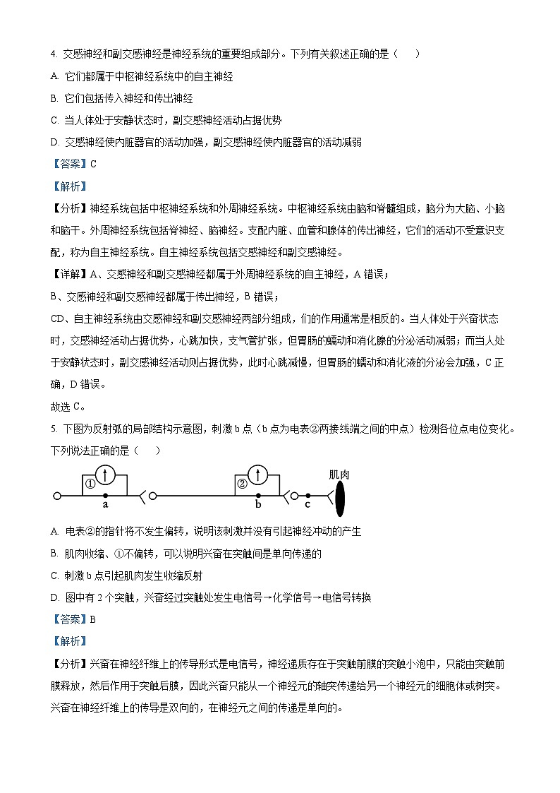 山东省济宁市育才中学2024-2025学年高二上学期10月阶段性测试生物试题word版含解析第3页