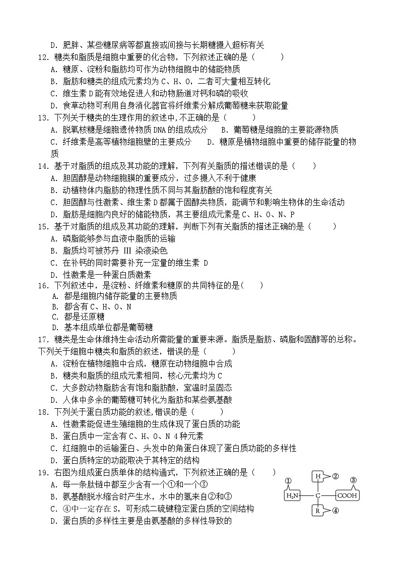 山东省济南市第一中学2024-2025学年高一上学期10月学情检测生物试题（Word版附答案）第3页