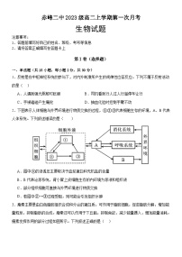 内蒙古赤峰二中2024-2025学年高二上学期第一次月考生物试题（Word版附答案）