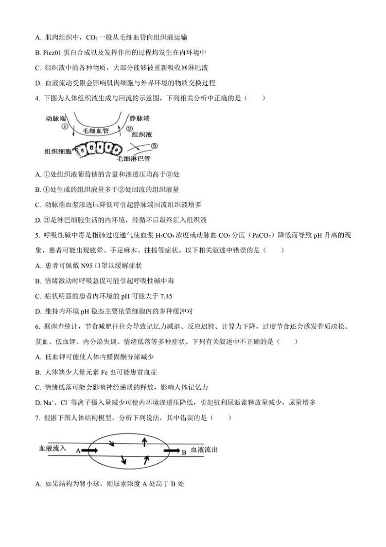 湖北省武汉市重点中学5G联合体2023～2024学年高二上学期期中联考生物试题（解析版）第2页