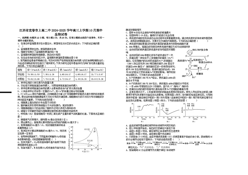 江西省宜春市上高二中2024-2025学年高三上学期10月期中生物试题01