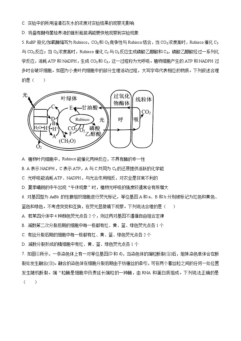 山东省济宁市实验中学2025届高三上学期10月月考生物试题第2页