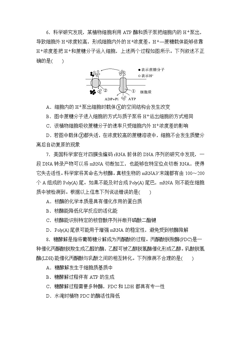 黑龙江省实验中学2024-2025学年高三上学期第二次月考生物试卷第3页