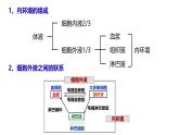 1.2 内环境的稳态-【生物好课】2024-2025学年高二生物同步教学课件（人教版2019选择性必修1）