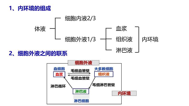 1.2 内环境的稳态-【生物好课】2024-2025学年高二生物同步教学课件（人教版2019选择性必修1）第1页