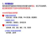 1.2 内环境的稳态-【生物好课】2024-2025学年高二生物同步教学课件（人教版2019选择性必修1）