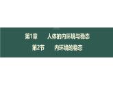1.2 内环境的稳态-【生物好课】2024-2025学年高二生物同步教学课件（人教版2019选择性必修1）