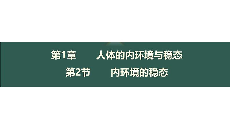 1.2 内环境的稳态-【生物好课】2024-2025学年高二生物同步教学课件（人教版2019选择性必修1）第4页