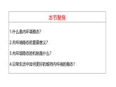 1.2 内环境的稳态-【生物好课】2024-2025学年高二生物同步教学课件（人教版2019选择性必修1）