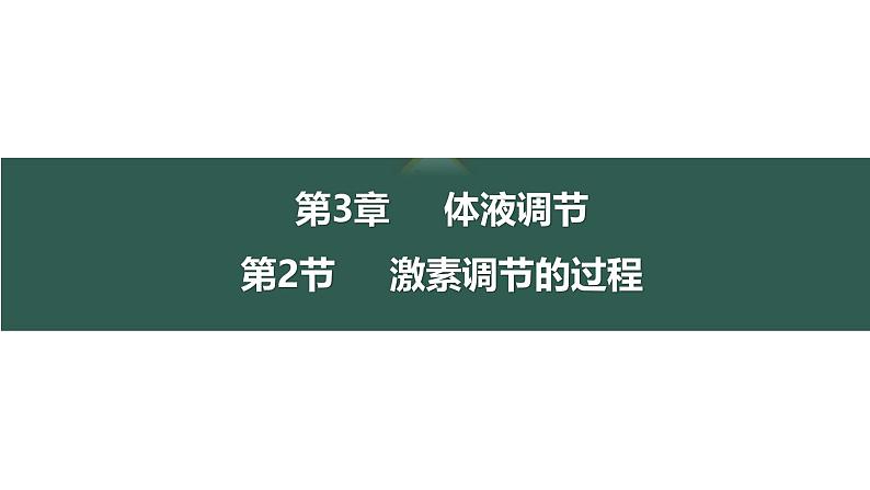 3.2 激素调节的过程-【生物好课】2024-2025学年高二生物同步教学课件（人教版2019选择性必修1）第1页