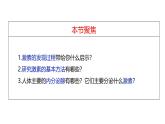 3.1+激素与内分泌系统-【生物好课】2024-2025学年高二生物同步教学课件（人教版2019选择性必修1）