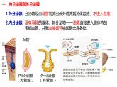 3.1+激素与内分泌系统-【生物好课】2024-2025学年高二生物同步教学课件（人教版2019选择性必修1）