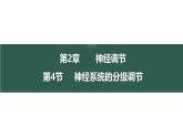 2.4 神经系统的分级调节-【生物好课】2024-2025学年高二生物同步教学课件（人教版2019选择性必修1）
