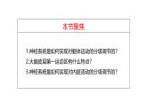 2.4 神经系统的分级调节-【生物好课】2024-2025学年高二生物同步教学课件（人教版2019选择性必修1）