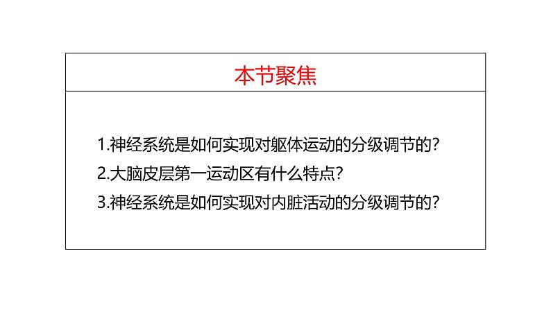 2.4 神经系统的分级调节-【生物好课】2024-2025学年高二生物同步教学课件（人教版2019选择性必修1）02