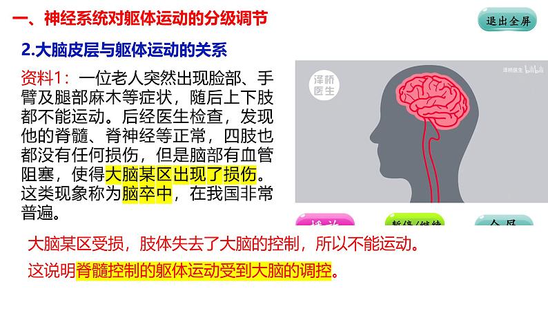 2.4 神经系统的分级调节-【生物好课】2024-2025学年高二生物同步教学课件（人教版2019选择性必修1）08