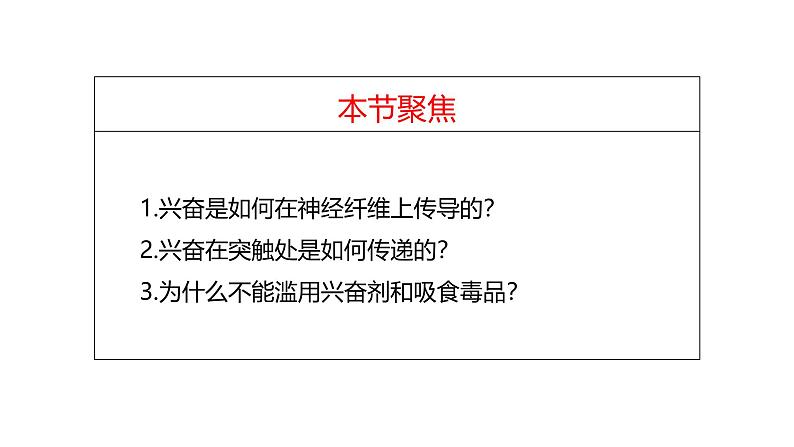 2.3+神经冲动的产生和传导-【生物好课】2024-2025学年高二生物同步教学课件（人教版2019选择性必修1）第2页