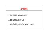 2.2 神经调节的基本方式-【生物好课】2024-2025学年高二生物同步教学课件（人教版2019选择性必修1）